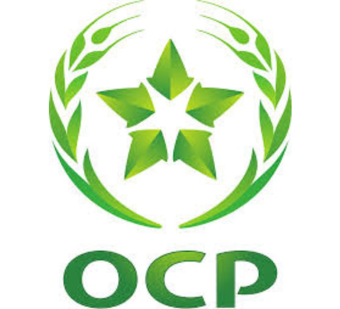 Logo 4